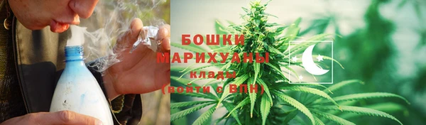 ГАЛЛЮЦИНОГЕННЫЕ ГРИБЫ Моршанск