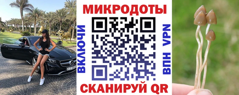 Псилоцибиновые грибы Psilocybe  Оренбург 