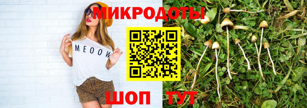Оренбург  Псилоцибиновые грибы Cubensis  Вход с VPN  Галлюциногенные грибы Magic Shrooms 